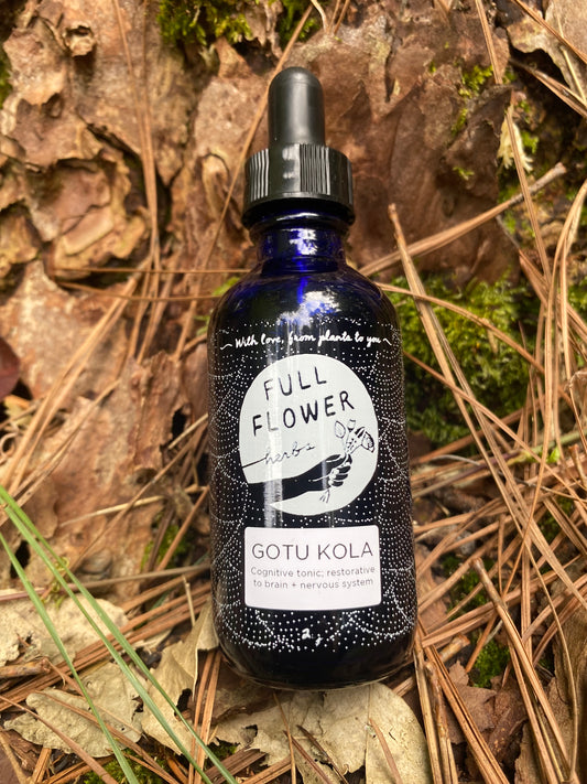 Gotu Kola Tincture