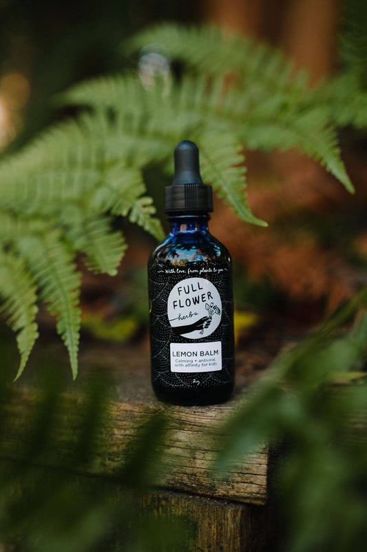 Lemon balm Tincture // 8 fl oz Refill Bottle