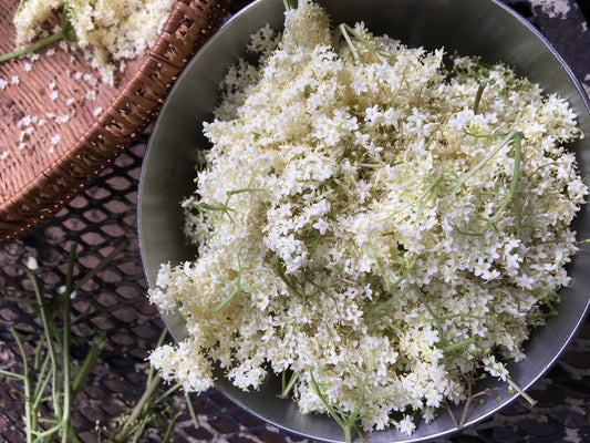 Elderflower Elixir